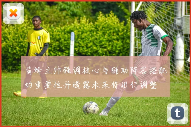 黄蜂主帅强调核心与辅助阵容搭配的重要性并透露未来将进行调整
