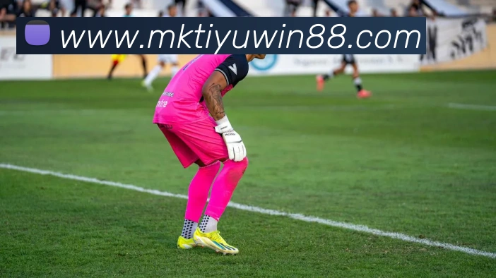 MK体育APP 封面图